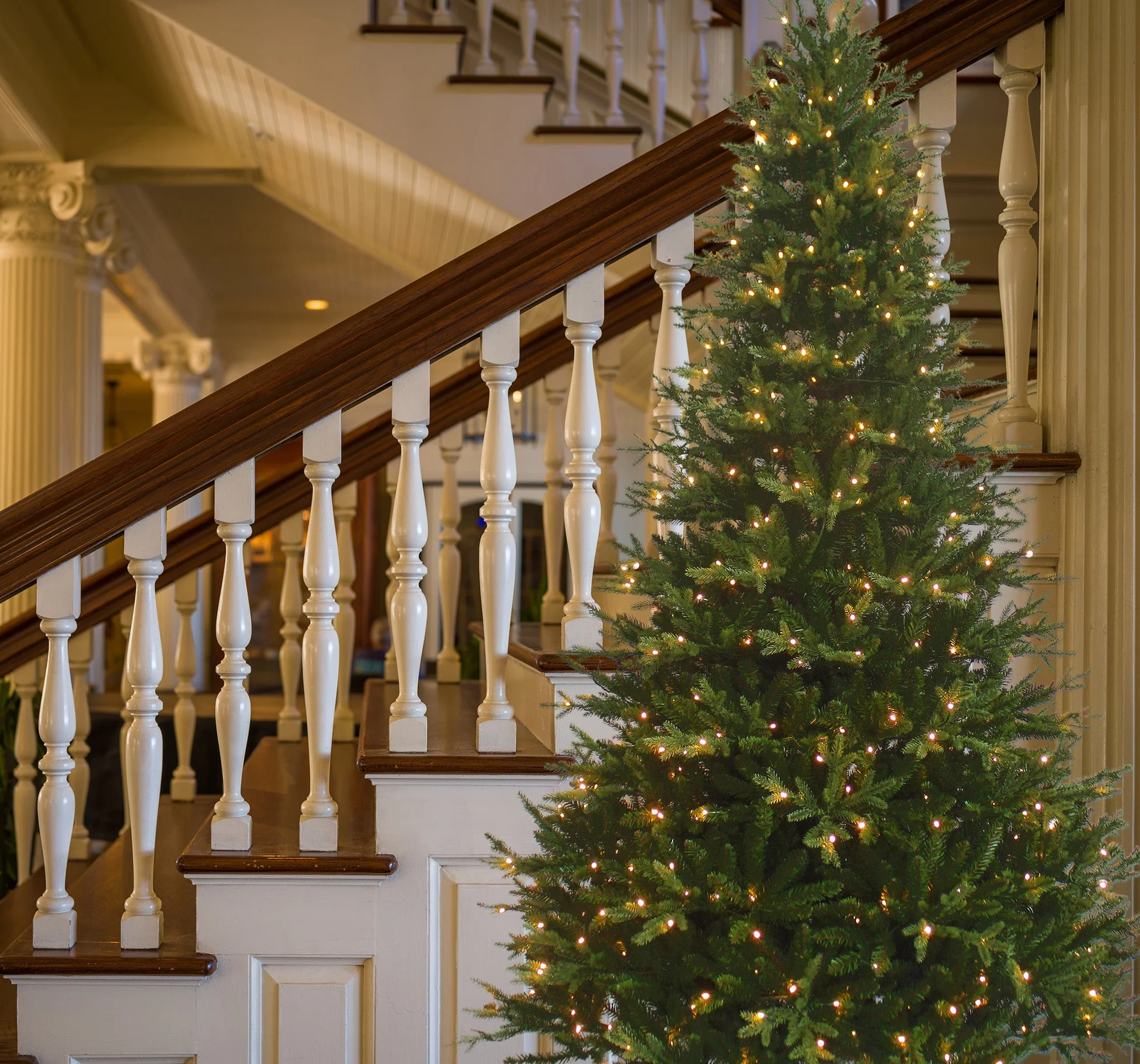 7.5 Foot New Haven Fraser Fir Pre-Lit Artificial Christmas Tree - Image 4