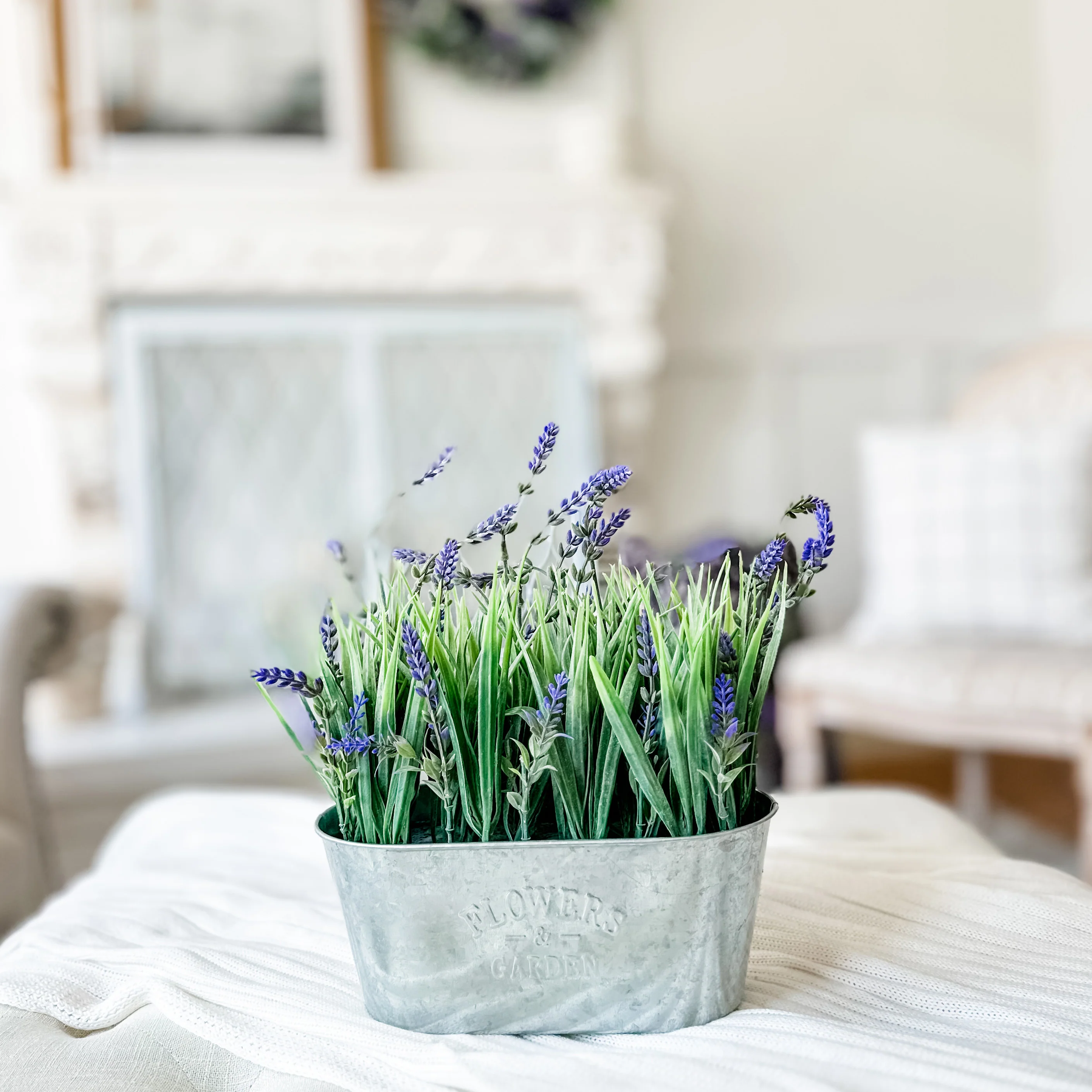 10 Inch Lavender in Galvanized Metal Pot - Image 4